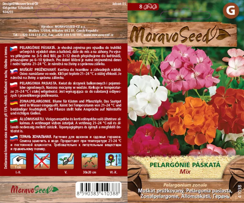 Muškát směs (Pelargonie páskatá)