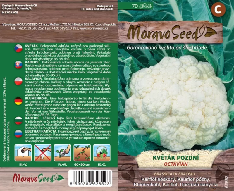 Květák OCTAVIAN - EXP.12/2025