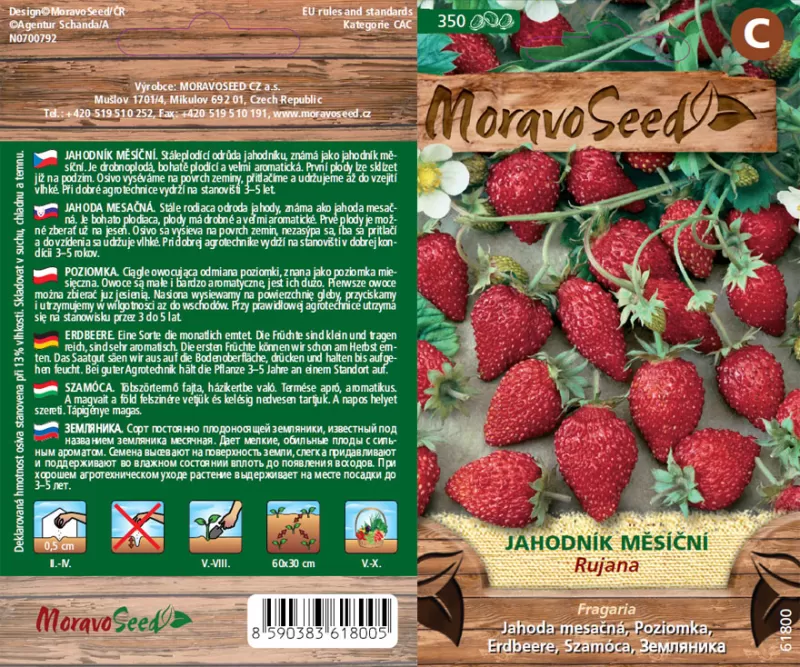 Jahodník měsíční RUJANA - EXP.12/2025