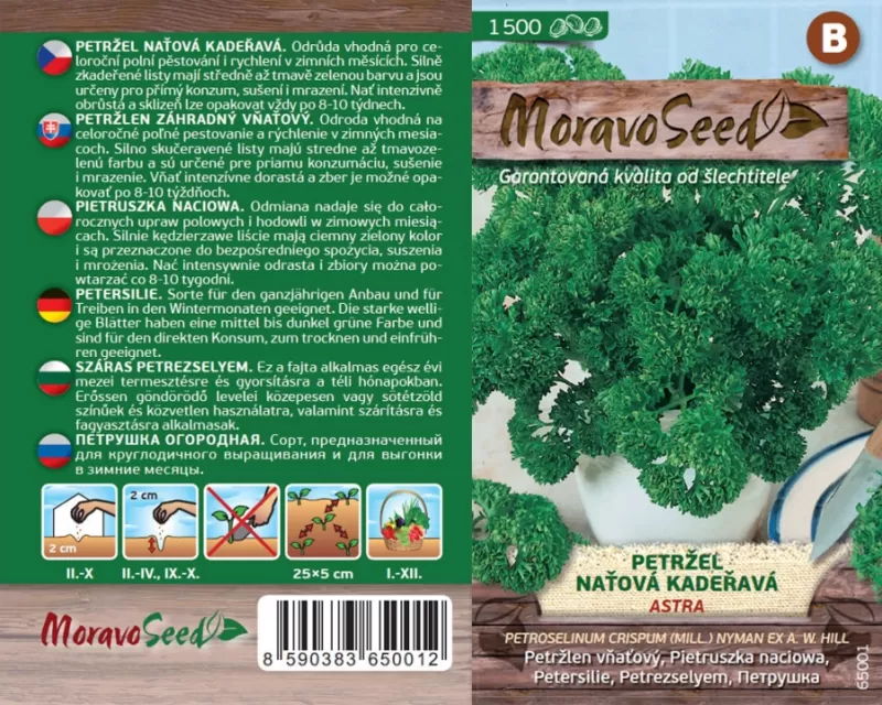 Petržel listová ASTRA