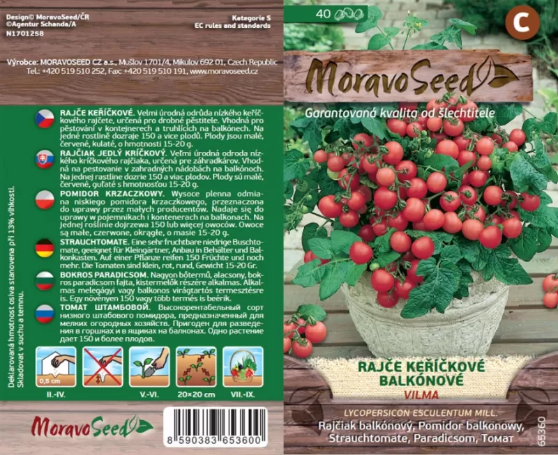 Rajče balkónové VILMA