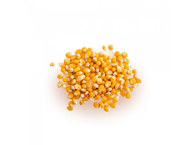 Kukuřice na popcorn BUTTERFLY 500g - DMT 12/2025