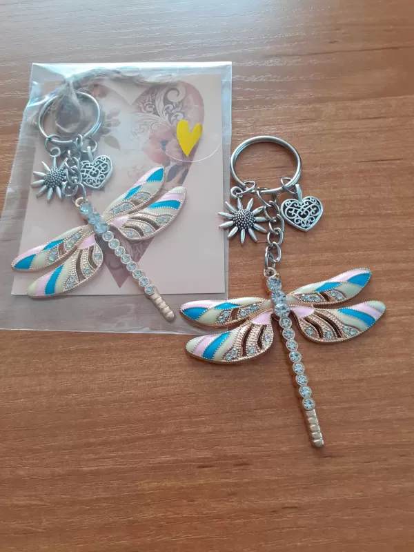 Vážka zlatá BAREVNÁ