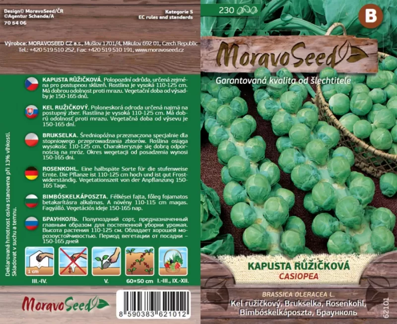 Kapusta růžičková CASIOPEA - EXP.12/2025