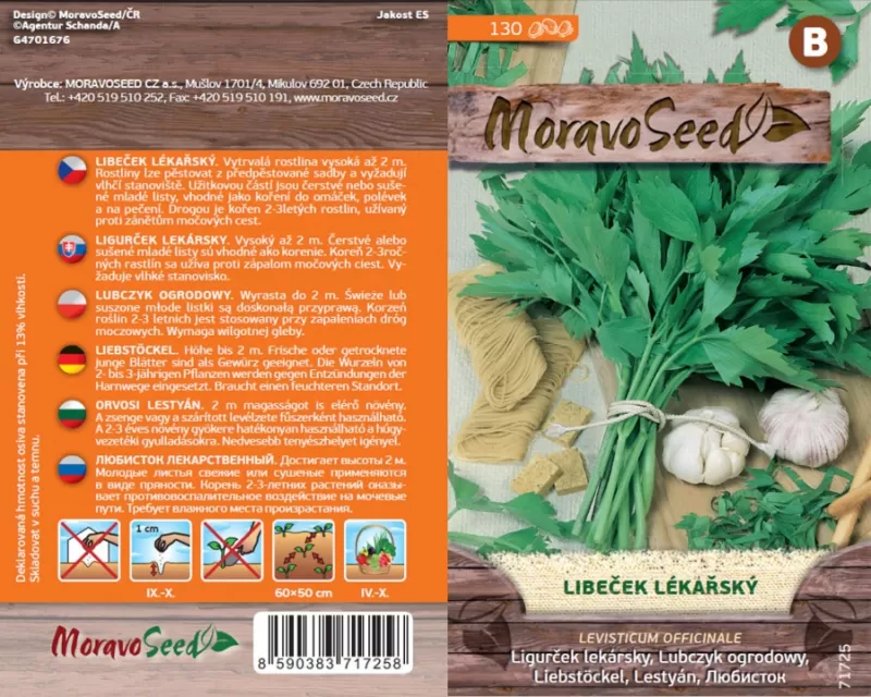 Libeček lékařský