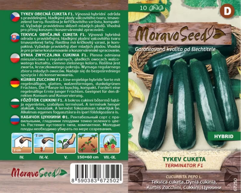 Tykev obecná - cuketa TERMINATOR F1