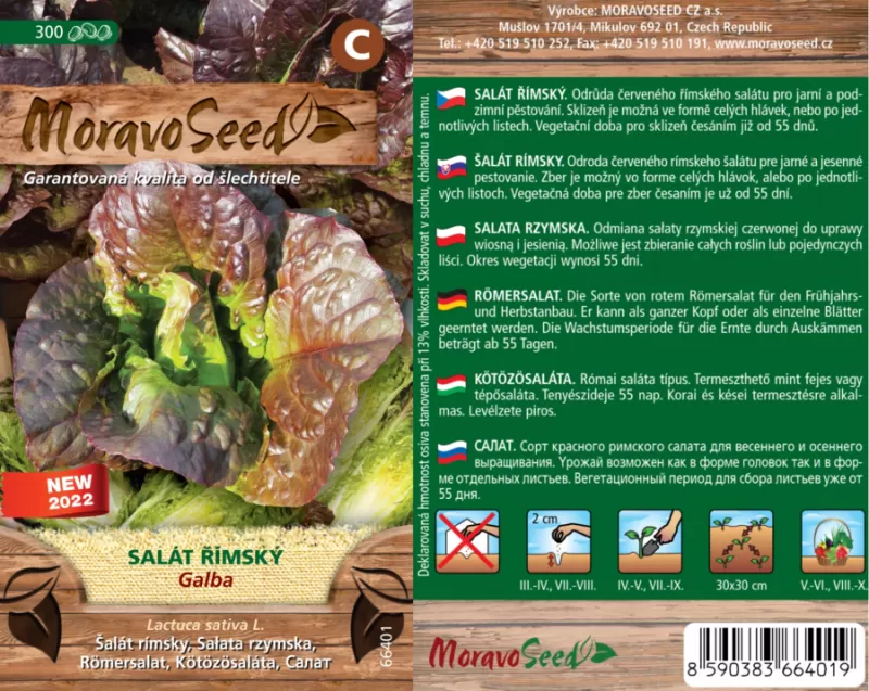 Salát římský GALBA