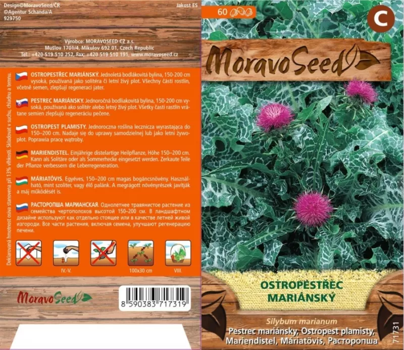 Ostropestřec mariánský