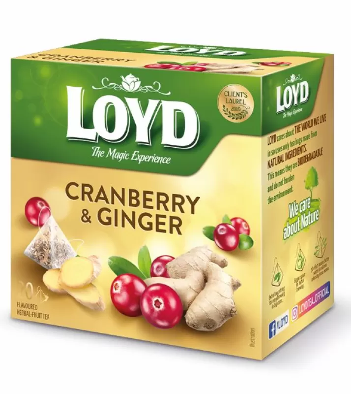 LOYD Čaj brusinka & zázvor pyramidové sáčky 20x2g