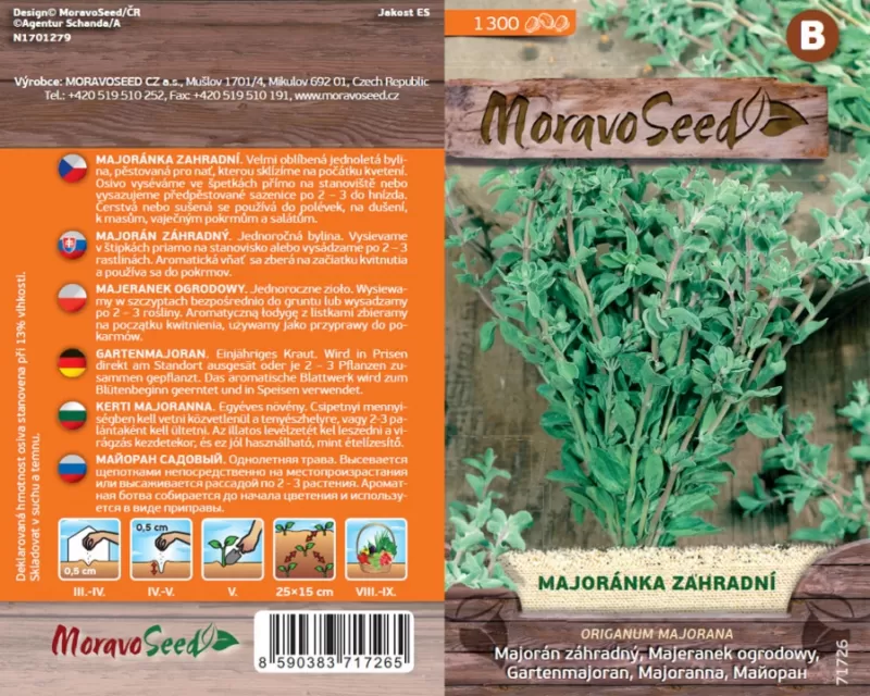 Majoránka zahradní