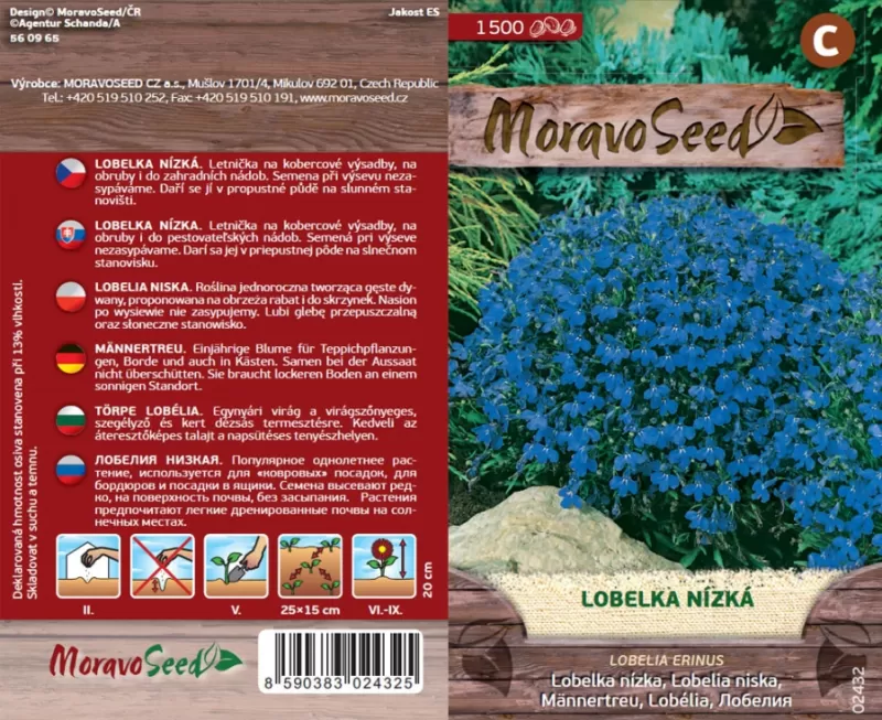 Lobelka drobná modrá