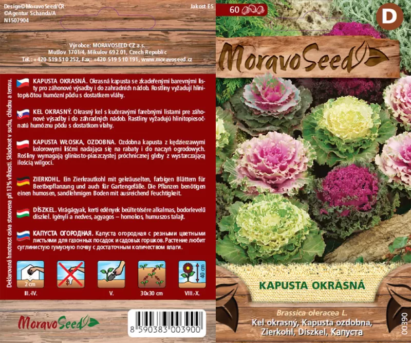 Kapusta okrasná