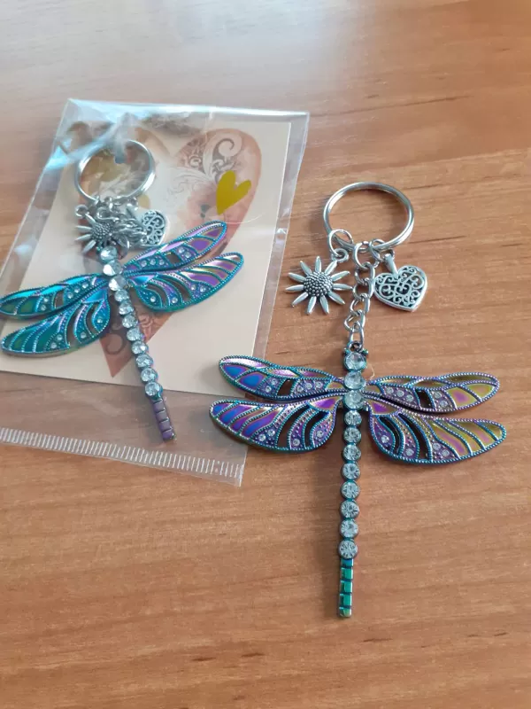 Vážka DUHOVÁ